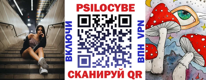Галлюциногенные грибы Psilocybe  купить наркотик  Александровское 